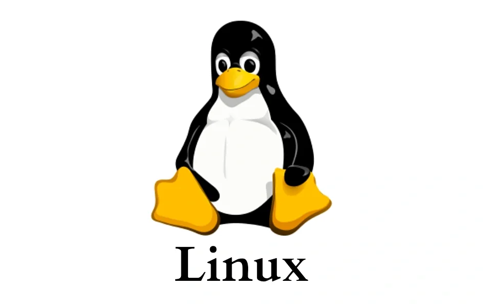 Variasi dari Sistem Operasi Linux Biasa Disebut dengan 2 Istilah Ini