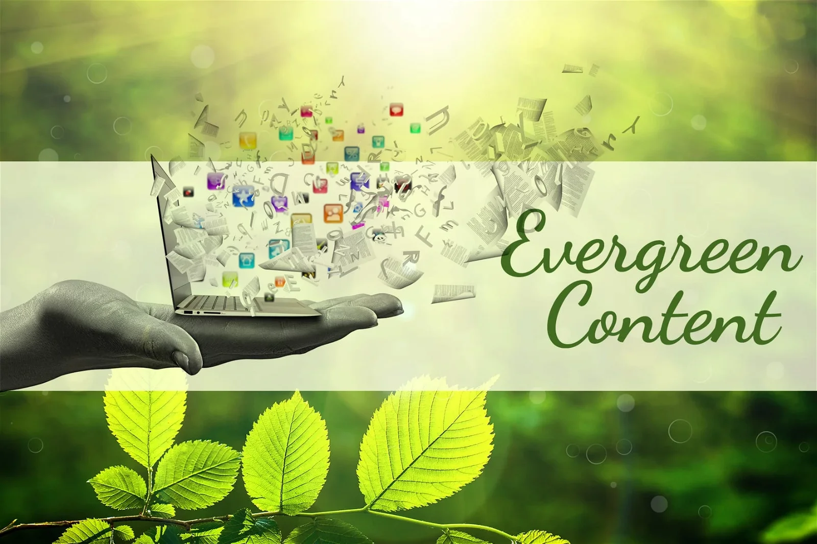 7 Hal tentang Evergreen Content Apa Saja